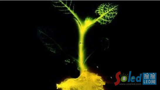 QQ�؈D20140521173957