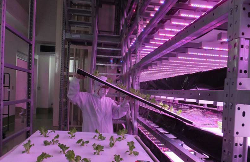 QQ�؈D20140919090418