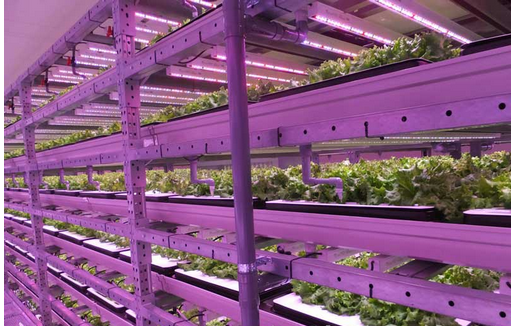 QQ�؈D20140919090440