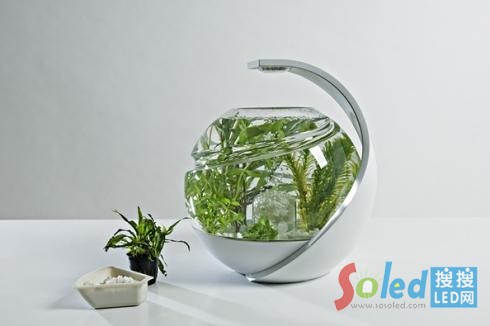 ���B(t��i)�~��Avo����D