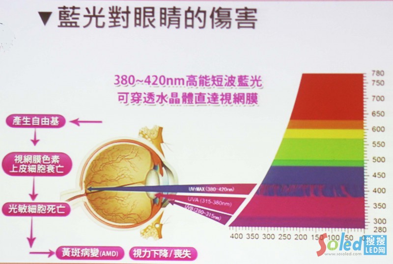 �{(l��n)�⌦(du��)�۾���Σ��