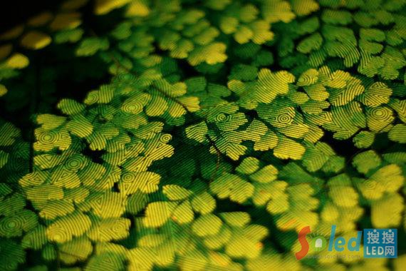 UNIQCUBEʯ�^��