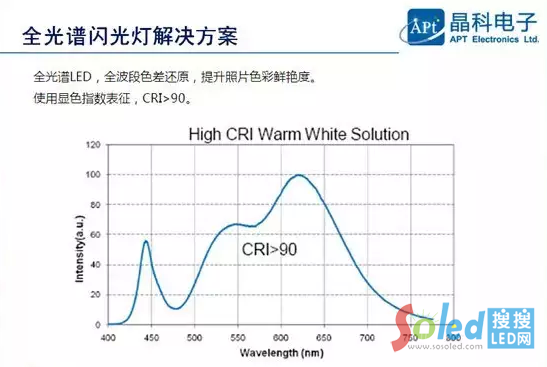 ȫ���V�W�����Q����