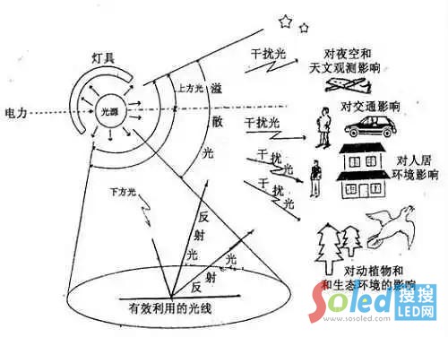 ����Ⱦ��Σ��