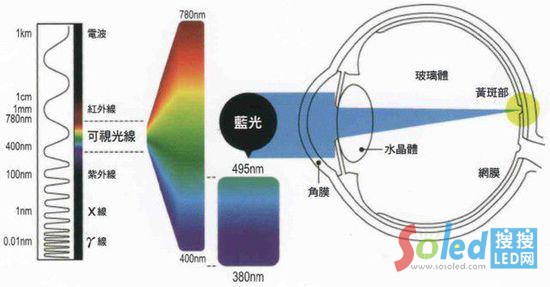 �̲������{(l��n)������ҕ�W(w��ng)Ĥɫ����Ƥ��ή�s