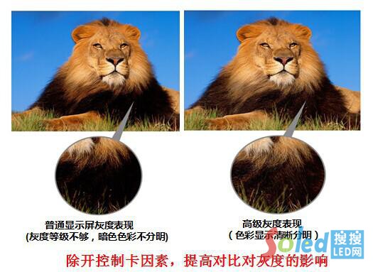 ��ߌ��Ȍ��Ҷȵ�Ӱ�