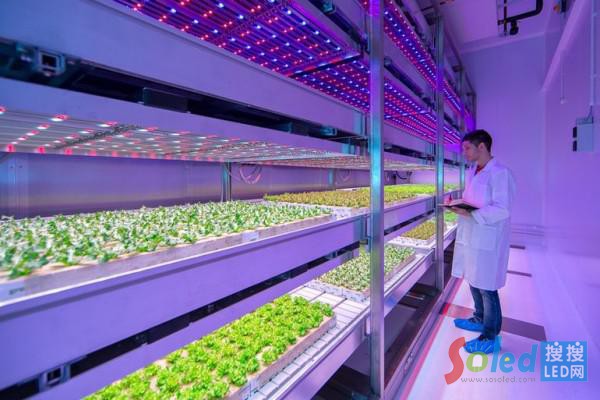 �w�����аl(f��)����ʳ�V