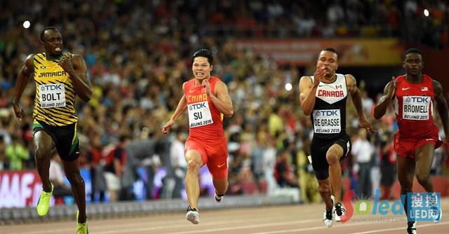 ���ȿ񱼰�������ɭ