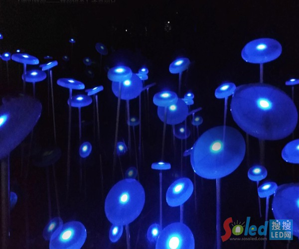 LED��&mdash;&mdash;ɭ�־��`