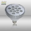 ���S���l(f��)  10w LED���